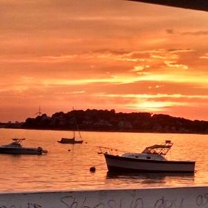 Meet your Posher, Catie